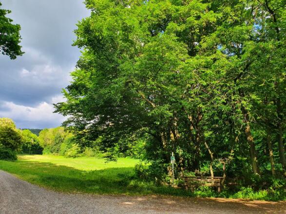Waldlichtung Ruine Stollburg Steigerwald Klinik