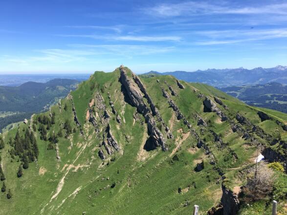 Blick vom Gelchengrat auf das Rindalphorn