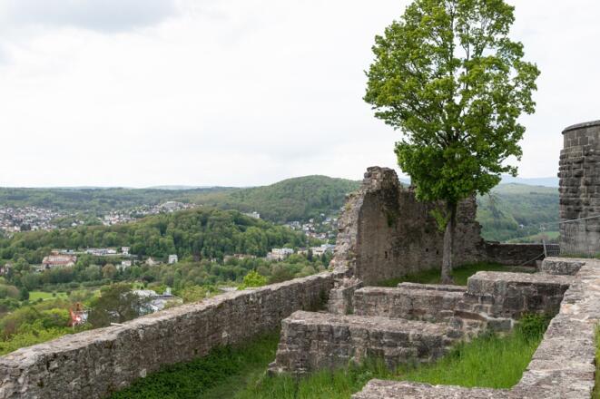 Ruine der Burg Botenlauben