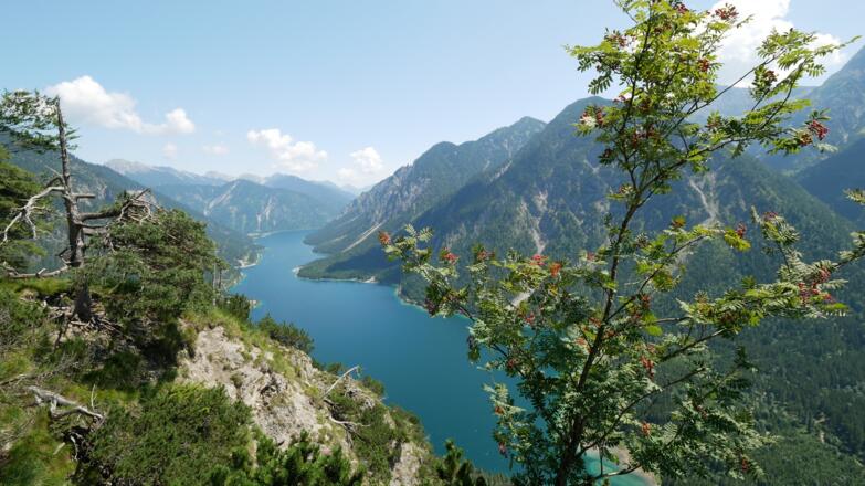 Der Plansee