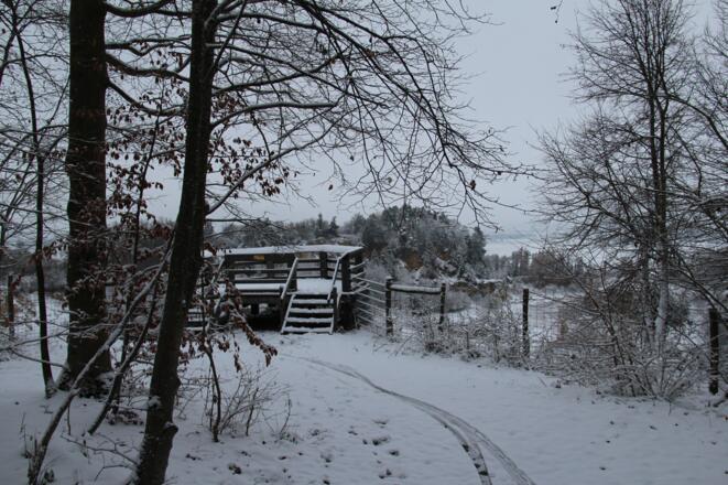Aussichtsplattform im Winter