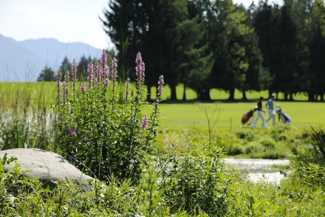 Golfplatz Sonnenalp in Ofterschwang im Allgäu