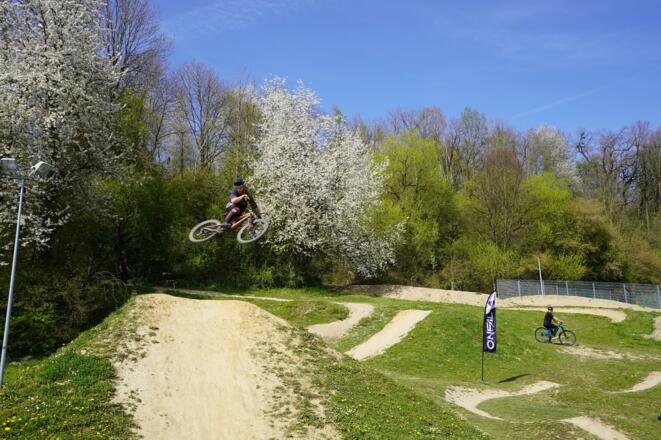 Whip