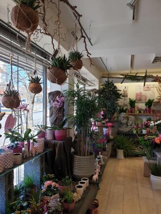 Pfrontner Blumenfehla