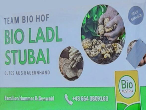 bioladlstubai-mieders