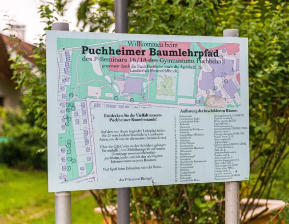 Infotafel Puchheimer Baumlehrpfad