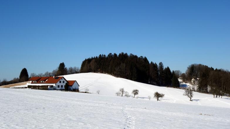 Blick zum Mayrhofberg 654m