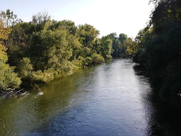 Blick von der Amperbrücke in Inkofen auf die Amper