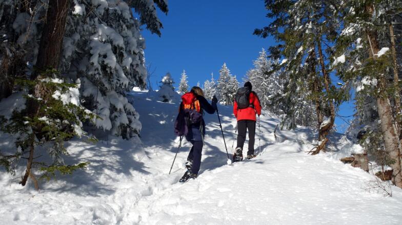 ~1380 m das Gelände wir freier