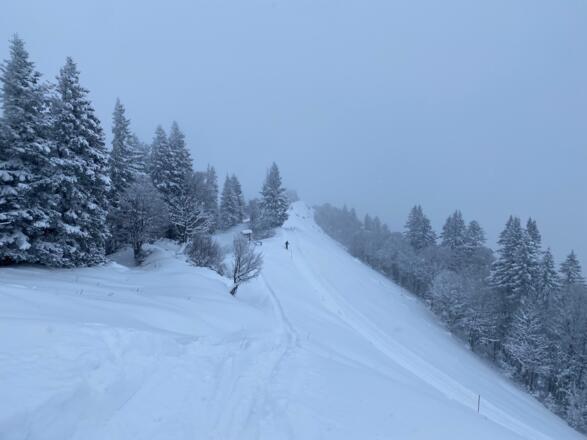 Kurze Abfahrt mit Fell Richtung Zwölferhon