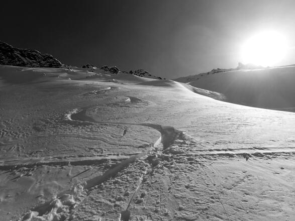 Jedem seine eigene Spur