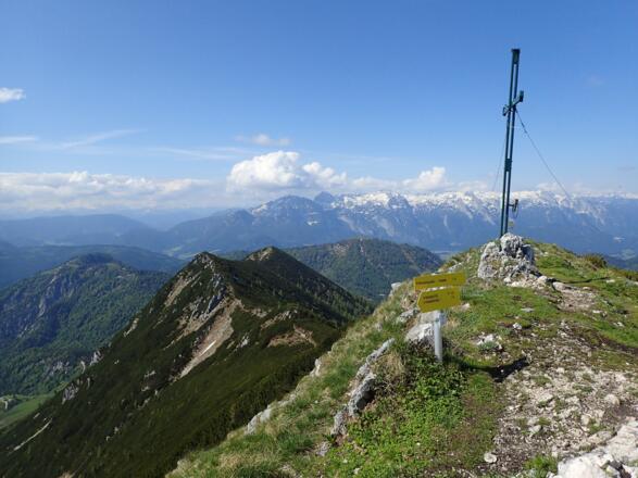 Am Braunedlkogel