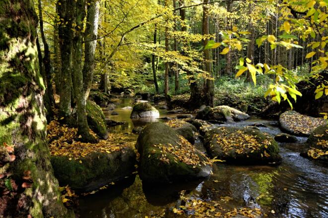 Otterbach, Granitfelsen
