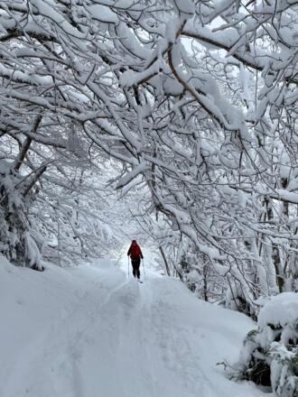 schneereiche Schneeschuhwanderung Alpendorf