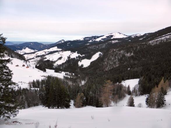 Blick zurück Richtung Wieserhörndl