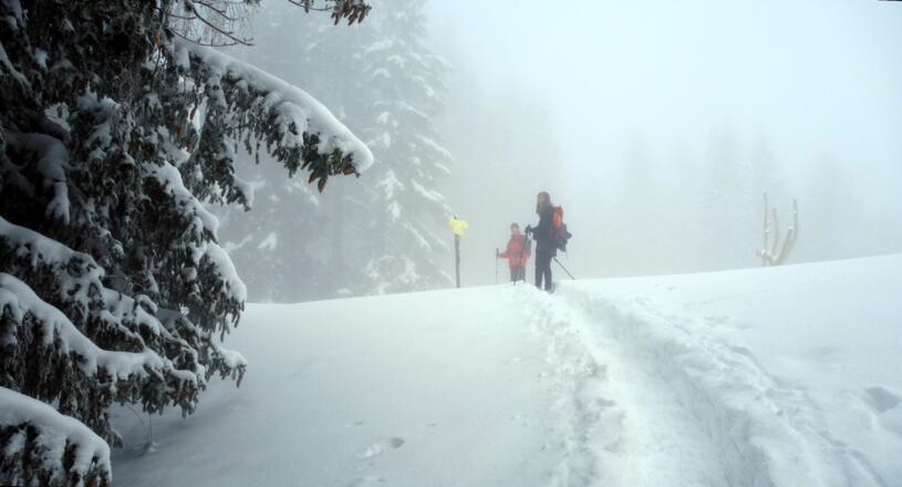 Rieseralmgebiet noch im Hochnebel