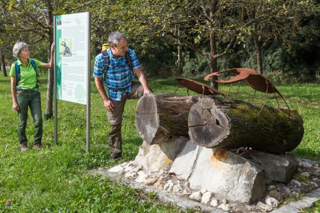Geopfad Tegernheimer Schlucht