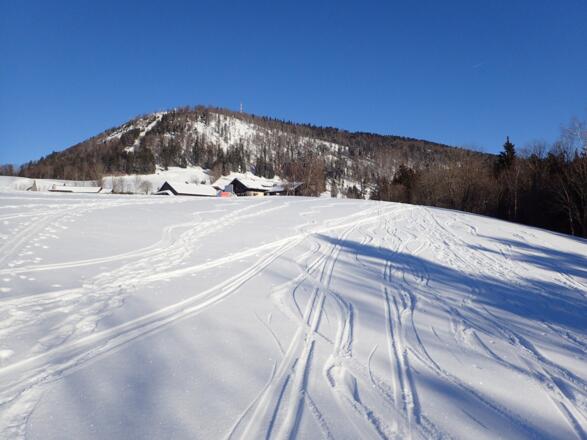 Knapp vor der Zistelalm