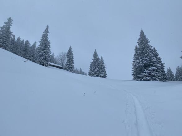 Aufstieg Richtung Pillstein, rechts an der Hütte vorbei