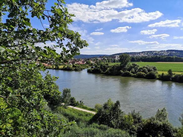 Labermündung  in die Donau bei Sinzing