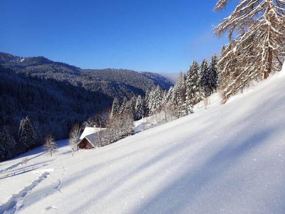 Abkürzer nach der Alm