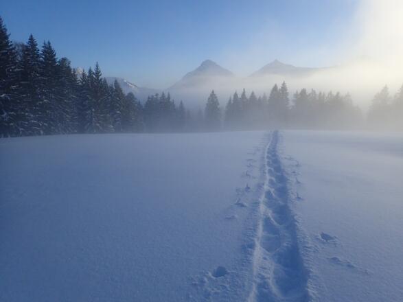 Flach geht es zum Feichtenstein, im Hintergrund Genner- und Gruberhorn