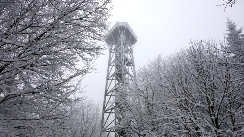 Aussichtswarte am Damberg (811 m)