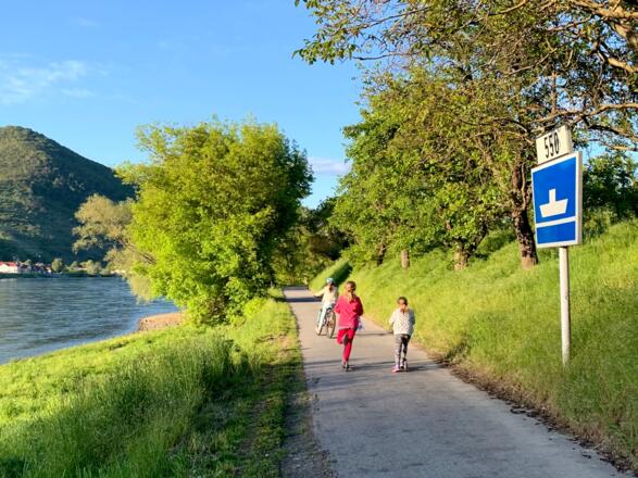 Der Donauradweg in Oberarnsdorf