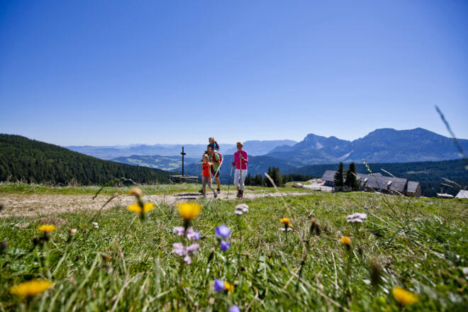 Die Stoißer Alm im Rupertiwinkel