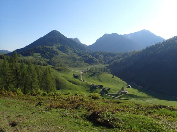 In der Querung der Taborberg Ostflanke