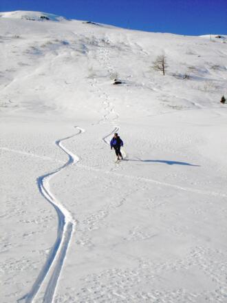 Auslauf bei der Klölingalm