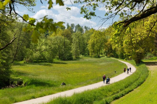 Barrierearmer Wanderweg von Bernhardswald nach Erlbach