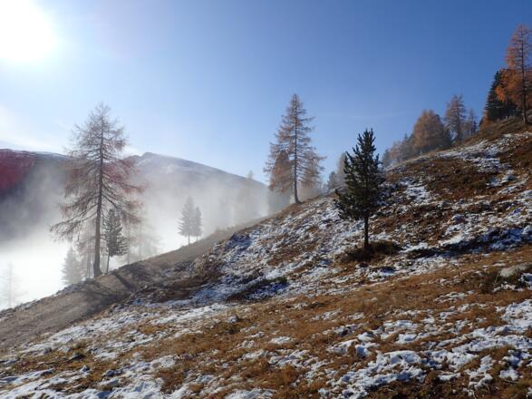 Wegloser Aufstieg
