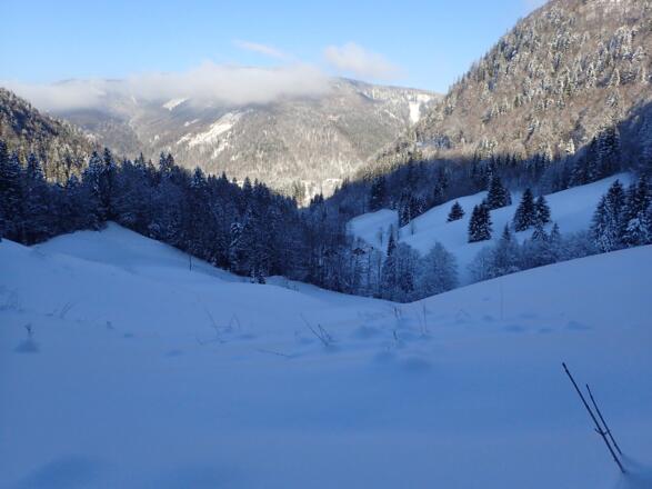 Oberhalb vom Satzsteinhof