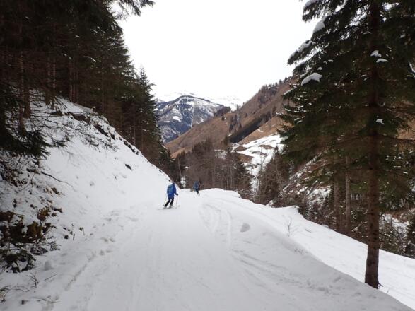 Ausklang im Forsterbachtal