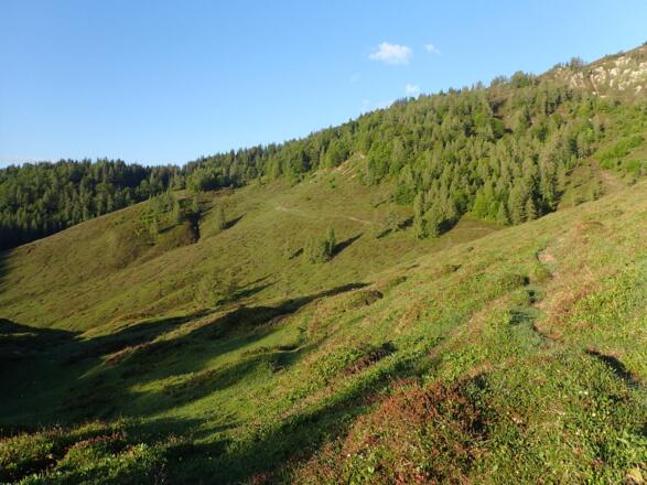 Dieser Steig wird für den Rückweg benützt