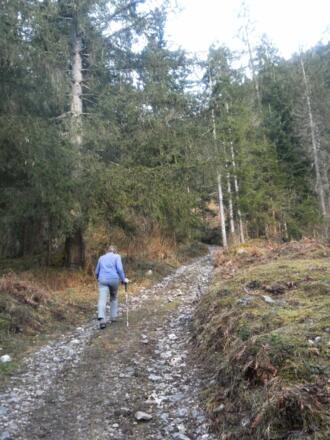 Ziehweg zur Seitenalm