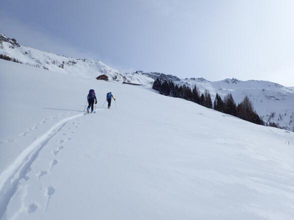 Unterhalb der Alm