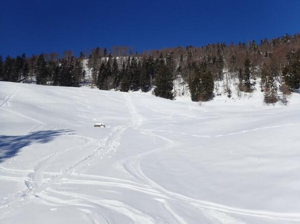Variante östlich der Zistelalm