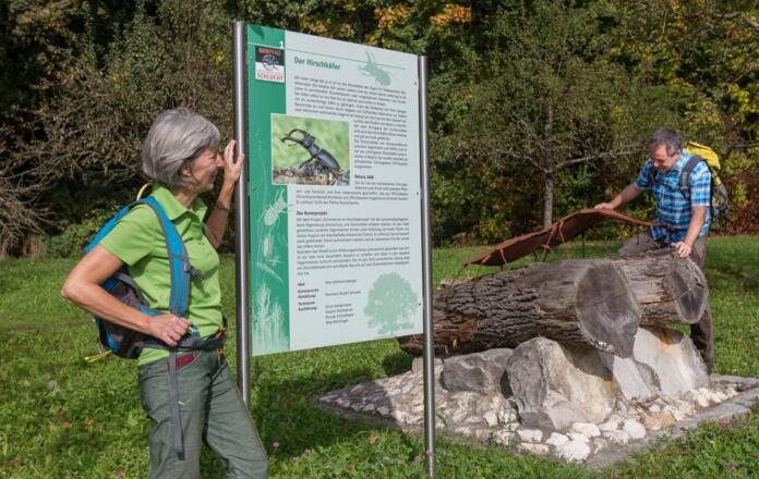 Geopfad Tegernheimer Schlucht