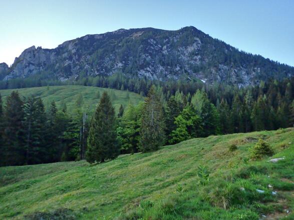 Braunedlkogel
