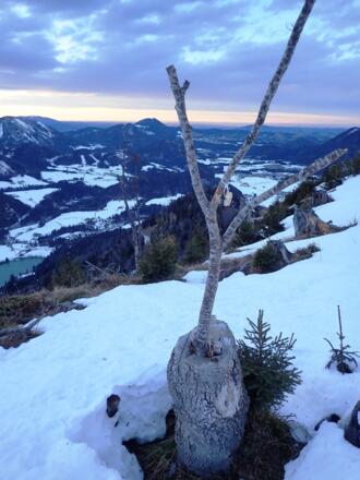 Das alte &quot;Gipfelkreuz&quot;