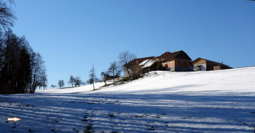 Querung nach dem Rinnsal ~495m über Wiesen Richtung Windischdorf
