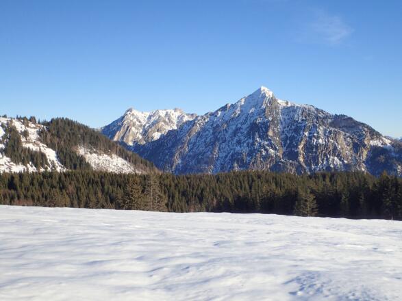 Rettenkogel - Bergwerkskogel - Rinnkogel