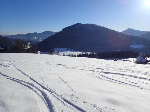 Querung unterhalb der Waldstufe