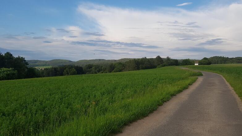 Jurahöhe nördliche Fränkische Schweiz