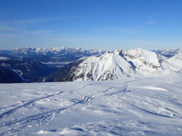 Windschaufel - Steinfeldspitze