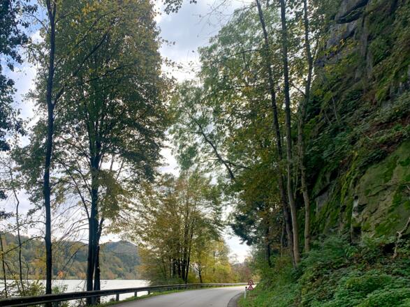 Am Donauradweg zwischen Freyenstein und Willersbach