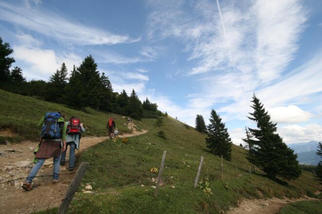 Schlussanstieg ab der Waldgrenze