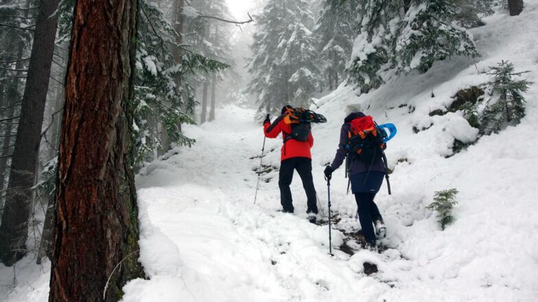 Anstieg am WEG 5 im Hochwald